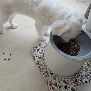 베스트 후기 이미지