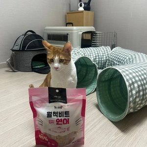 더캣 캣스토랑 월척비트 연어 300g 베스트 후기 이미지