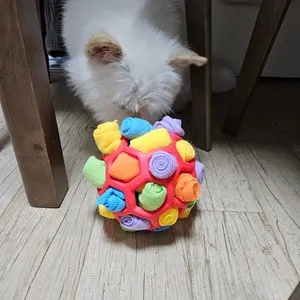 베스트 후기 이미지