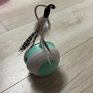 베스트 후기 이미지