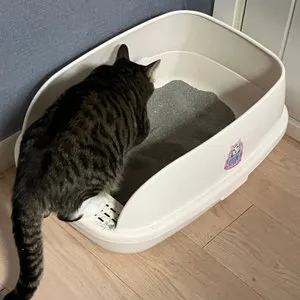 베스트 후기 이미지