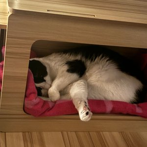 베스트 후기 이미지