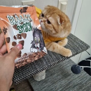 그레잇 캣 스낵 치킨맛 60g 베스트 후기 이미지