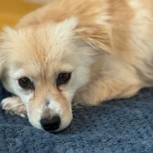 베스트 후기 이미지