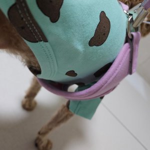 베스트 후기 이미지