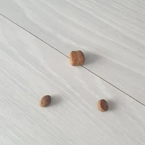 베스트 후기 이미지