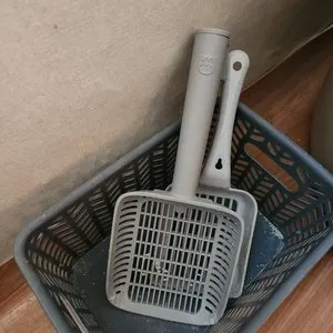 베스트 후기 이미지