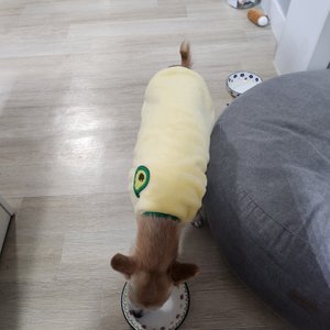 베스트 후기 이미지