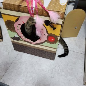베스트 후기 이미지