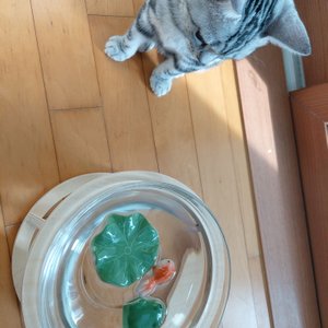 베스트 후기 이미지