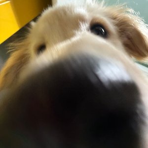 베스트 후기 이미지