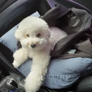 베스트 후기 이미지