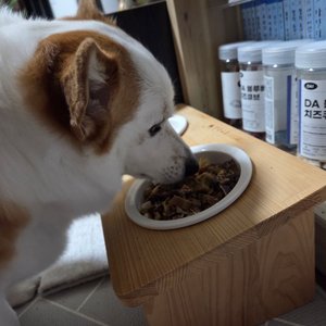 베스트 후기 이미지
