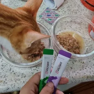 베스트 후기 이미지