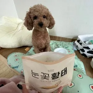 베스트 후기 이미지