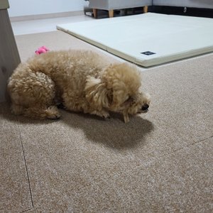 베스트 후기 이미지