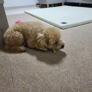 베스트 후기 이미지