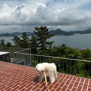 베스트 후기 이미지