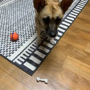 베스트 후기 이미지