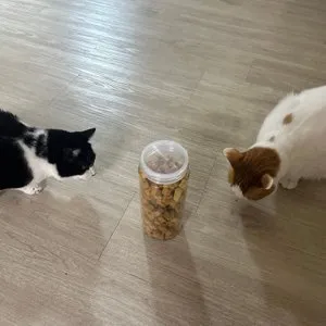 베스트 후기 이미지