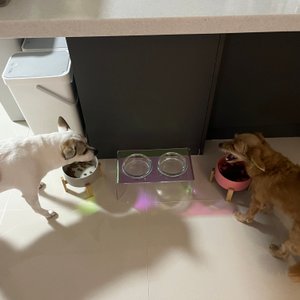 베스트 후기 이미지