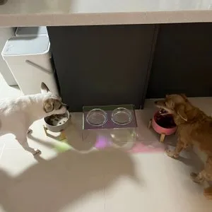 베스트 후기 이미지