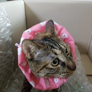 베스트 후기 이미지