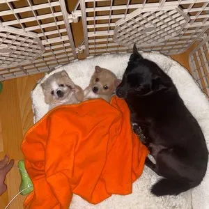 베스트 후기 이미지