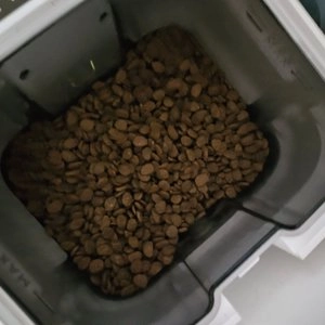 [웰컴딜] 오리젠 캣 6피쉬 1.8kg 베스트 후기 이미지