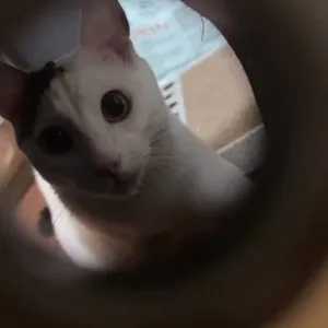 베스트 후기 이미지