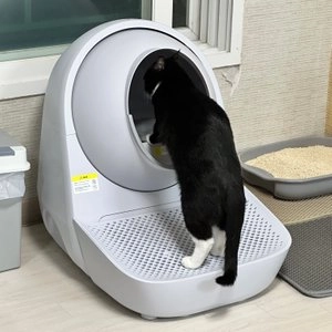 [무료배송] 캣링크 YOUNG 자동화장실 베스트 후기 이미지