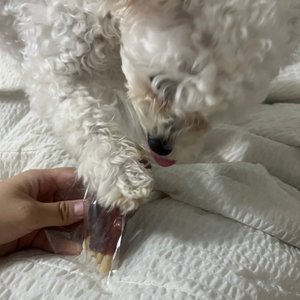 베스트 후기 이미지