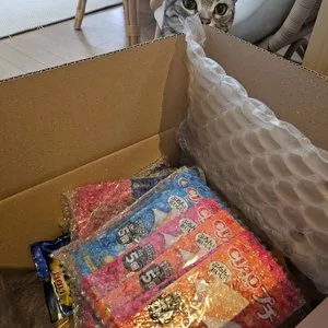 베스트 후기 이미지