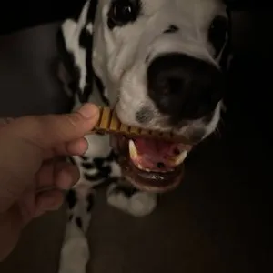 베스트 후기 이미지