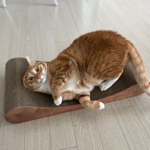 베스트 후기 이미지