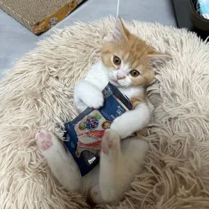 베스트 후기 이미지