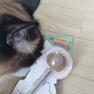 베스트 후기 이미지