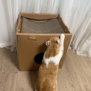 베스트 후기 이미지
