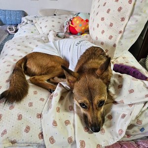 베스트 후기 이미지