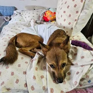 베스트 후기 이미지