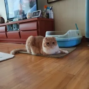 베스트 후기 이미지