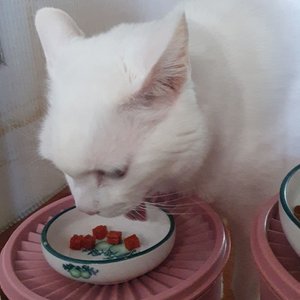 베스트 후기 이미지