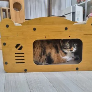 베스트 후기 이미지