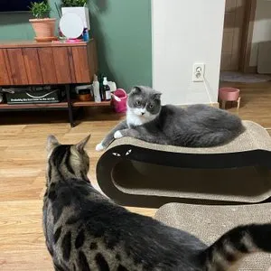 베스트 후기 이미지