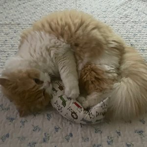 베스트 후기 이미지