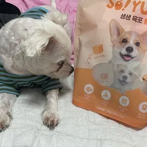 베스트 후기 이미지