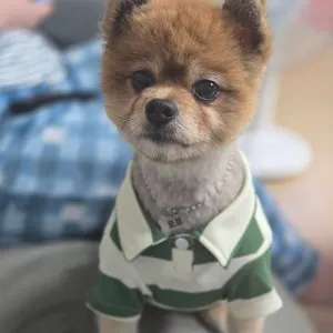 베스트 후기 이미지