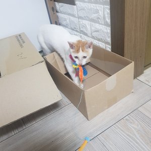베스트 후기 이미지