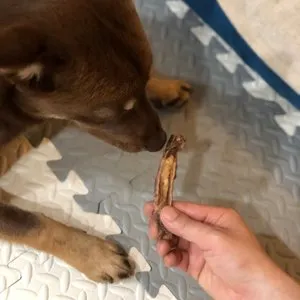 베스트 후기 이미지