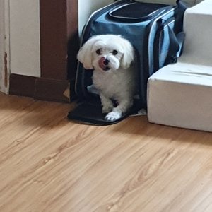베스트 후기 이미지